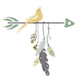 an arrow with feathers vector image