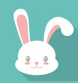 rabbit or bunny icon image vector image
