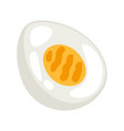 chicken egg image for gastronomy vector image