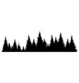fir trees silhouette coniferous spruce horizontal vector image vector image