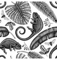 tropical plants and animals seamless pattern vector image