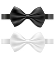 black and white bow tie vector image