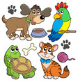 pet collection vector image vector image