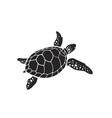 turtle design on a white background reptile vector image vector image