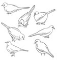 drawing sitting bird vector image