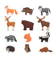 forest animals set vector image