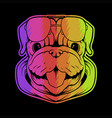 pug dog head colorful vector image vector image