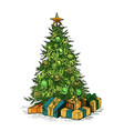 sketch of decorated spruce or fir tree vector image vector image