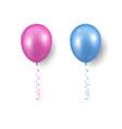 3d realistic pink blue balloon with ribbon vector image