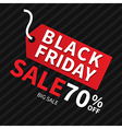 black friday sale banner design template vector image