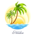 tropical palm vector image vector image