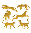 set of abstract silhouettes of leopards vector image vector image