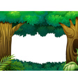 forest vector image