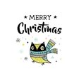 merry christmas greeting cards with owl vector image