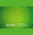 organic background with green leaf vector image vector image