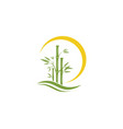 bamboo logo template icon vector image