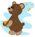 bear bees and honey vector image