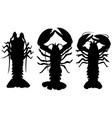 different lobsters vector image vector image