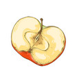 hand drawn sketch half apple in color isolated vector image vector image
