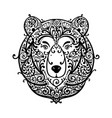 ornate bear face sketch for your design vector image