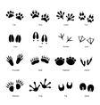 black animal tracks set vector image