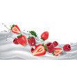 strawberries and raspberries on a yogurt or milk vector image