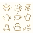 green and black tea vector image