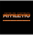 athletic sport division simple vintage fashion vector image vector image
