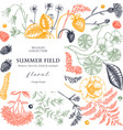 summer background in color floral frame design vector image