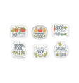 organic food shop labels set eco healthy natural vector image