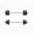 realistic detailed 3d different barbell set vector image