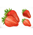 strawberry fresh fruit 3d realistic icon vector image vector image