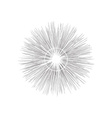 engraving star monochrome star burst vector image