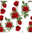 red rose flower bouquet spreads creeper elements vector image vector image