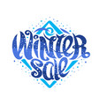 poster for winter sale vector image