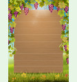 grape arch and wooden sign vector image