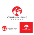 cery fruit red logo and symbol vector image