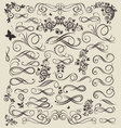 vintage floral decorative elements vector image