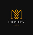 gold color ms sm m s initial based letter logotype vector image
