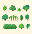 trees and bushes green natural botanical plants vector image vector image