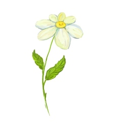 Lily hand drawn painted Royalty Free Vector Image