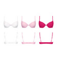 push-up bras realistic vector image