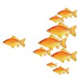gold fishes vector image
