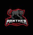 angry panther vector image