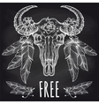 buffalo skull with feathers headdress vector image