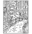 towering old-growth redwoods in muir woods vector image vector image