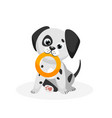 dalmatian puppy vector image