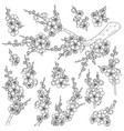 spring blossoming branches sketch vector image vector image