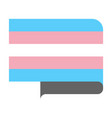 transgender pride flag vector image
