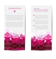 template vector image vector image